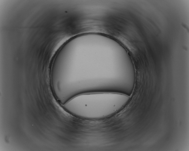 X0000093581468200710150947