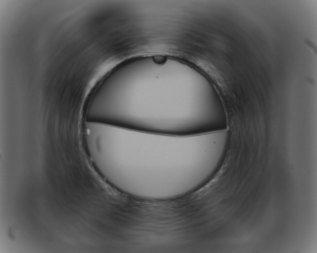 X0000093581469200710150947