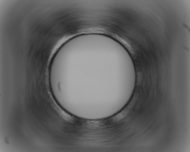 X0000093581470200710150947