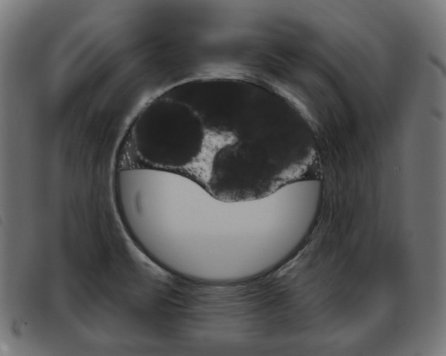 X0000093581471200710150947