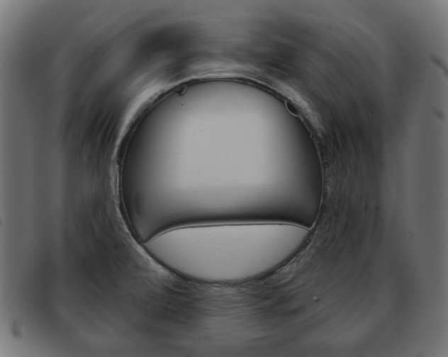 X0000093581472200710150947