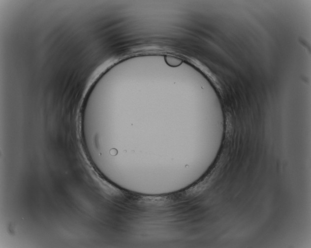 X0000093581474200710150947
