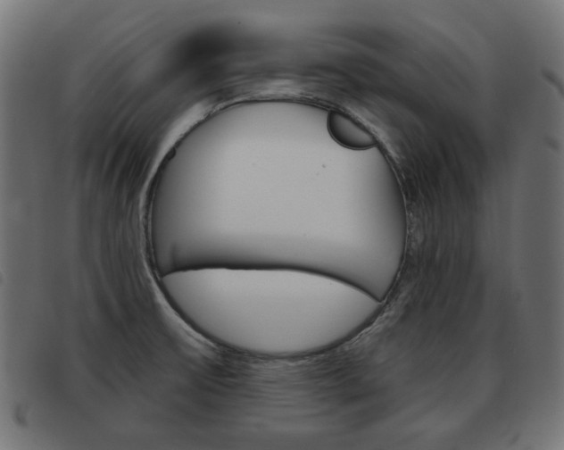 X0000093581475200710150947