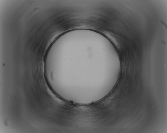 X0000093581476200710150947