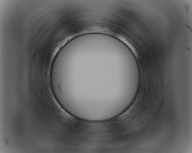 X0000093581477200710150947