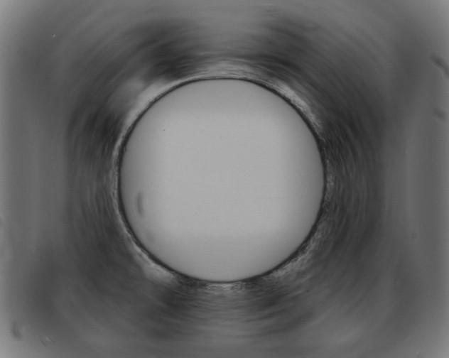 X0000093581478200710150947