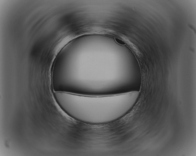 X0000093581479200710150947