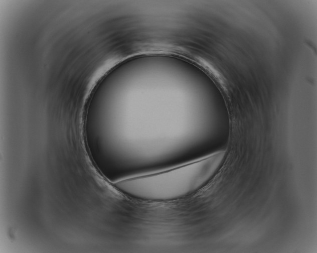 X0000093581480200710150947