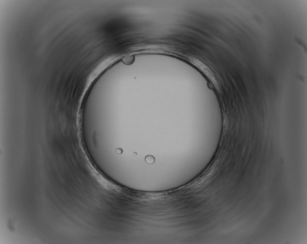 X0000093581482200710150947
