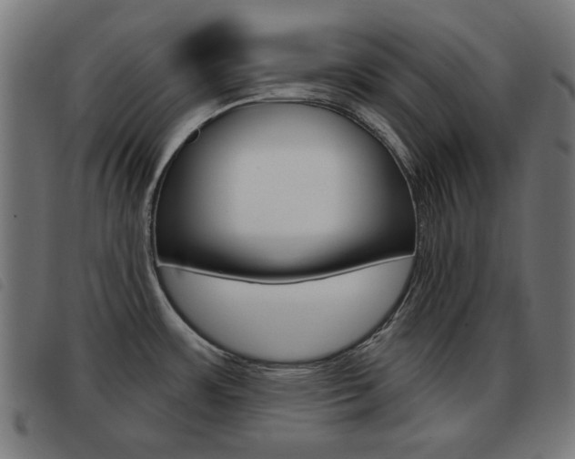 X0000093581483200710150947