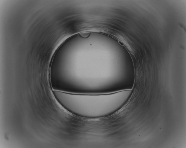 X0000093581484200710150947