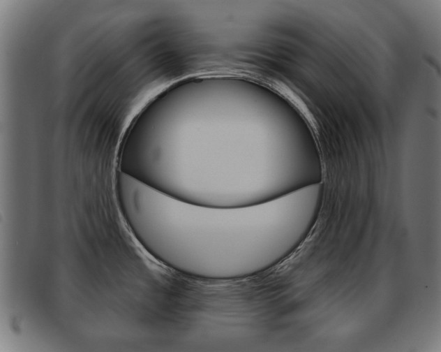 X0000093581485200710150947