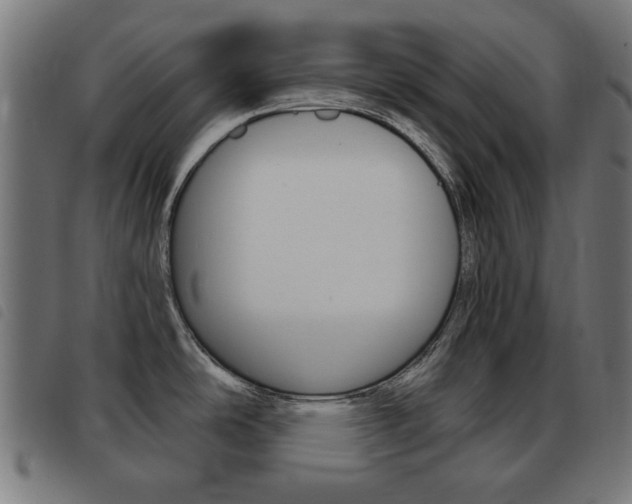 X0000093581486200710150947