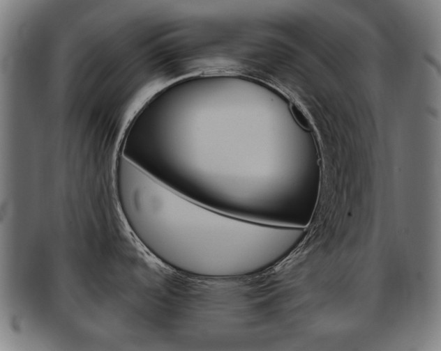 X0000093581488200710150947