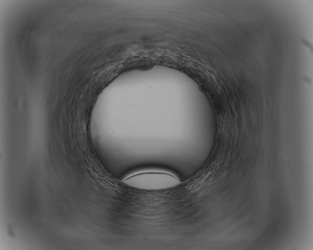 X0000093581489200710150946