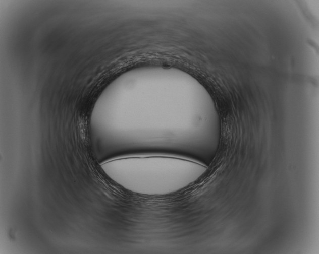 X0000093581490200710150946