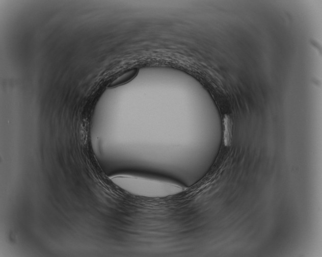 X0000093581491200710150946