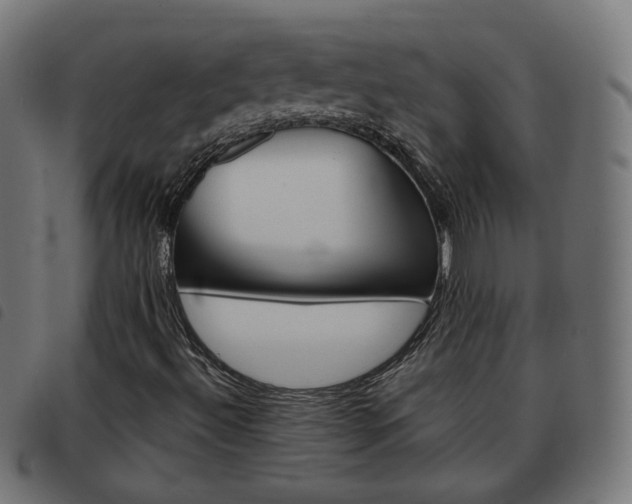 X0000093581492200710150946
