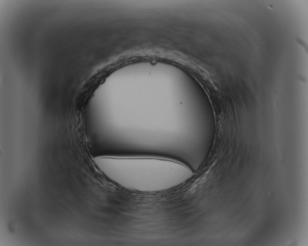 X0000093581494200710150947
