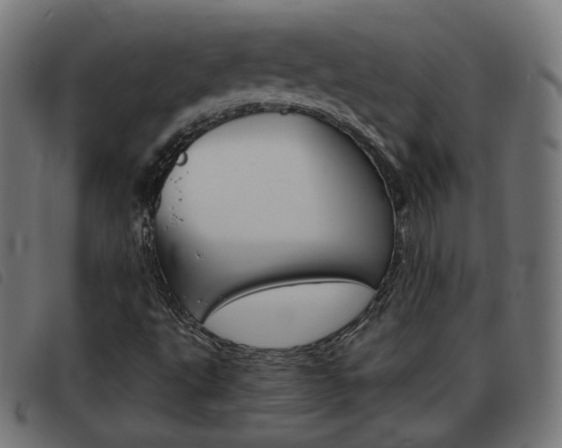 X0000093581495200710150947