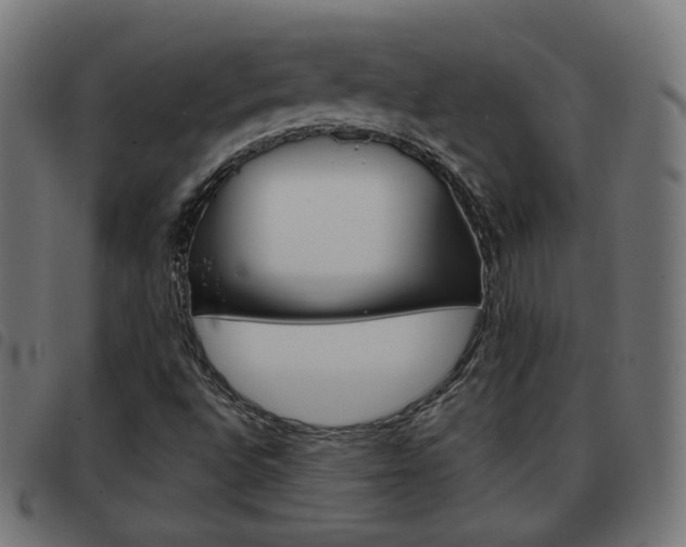 X0000093581496200710150947