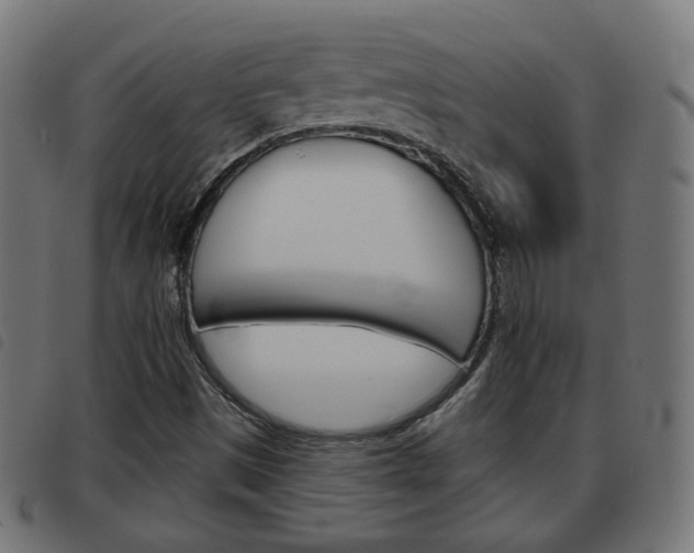 X0000093581497200710150947