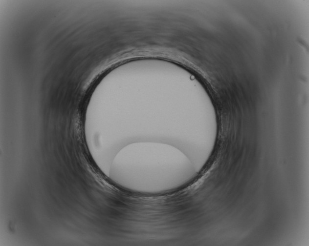 X0000093581498200710150947