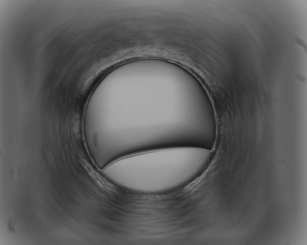 X0000093581499200710150947