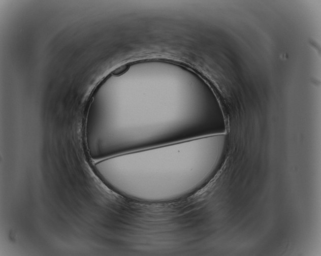 X0000093581500200710150947