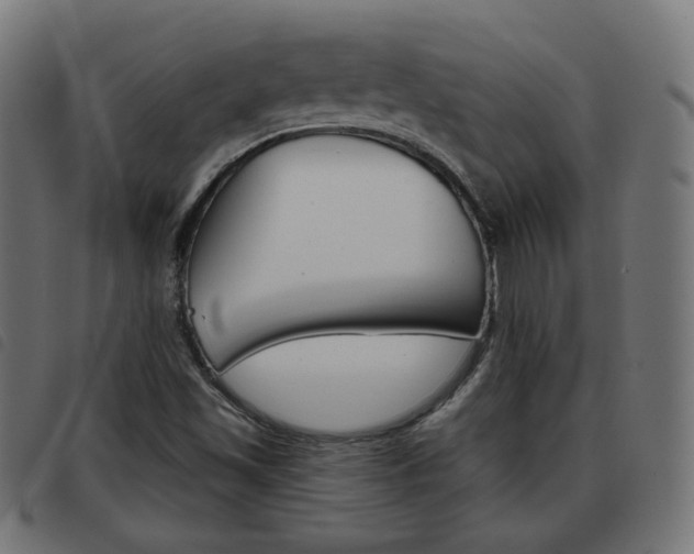 X0000093581501200710150947