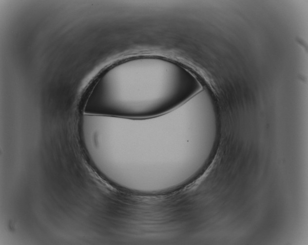 X0000093581502200710150947
