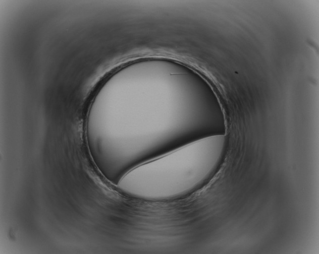 X0000093581503200710150947