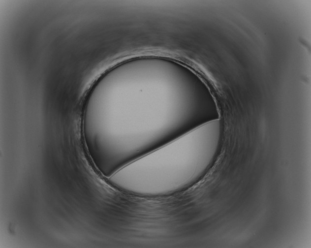 X0000093581504200710150947