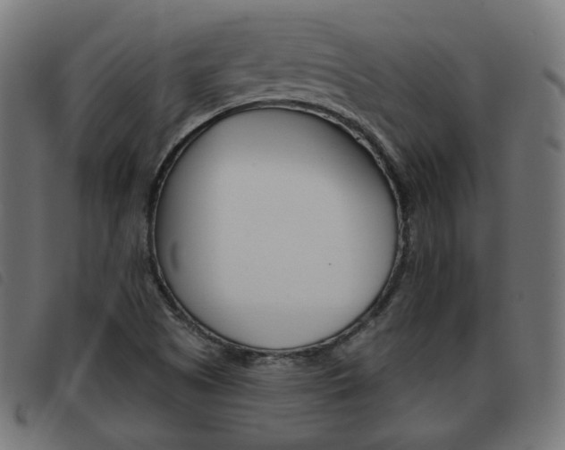 X0000093581505200710150947