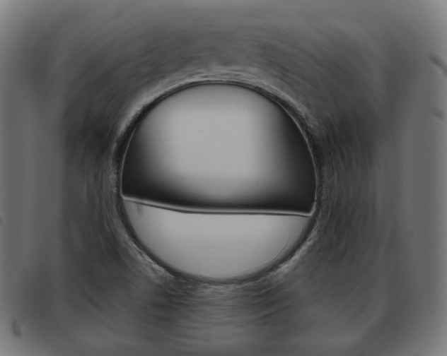 X0000093581506200710150947
