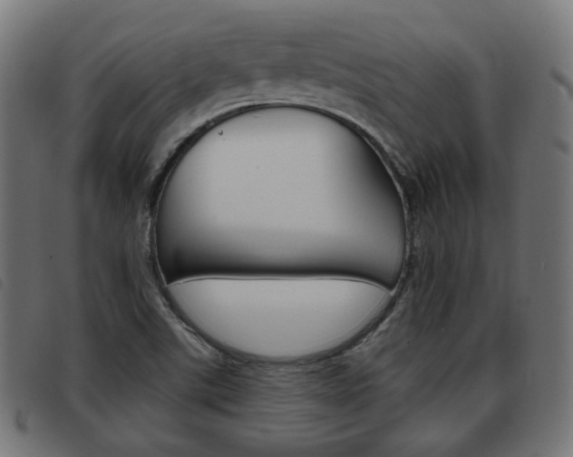 X0000093581507200710150947