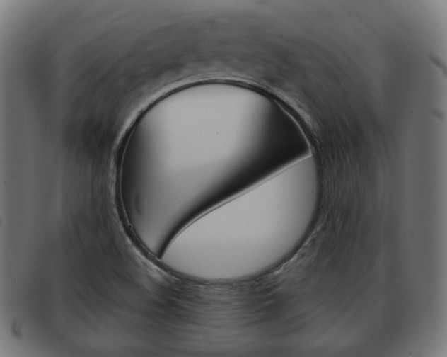 X0000093581508200710150947