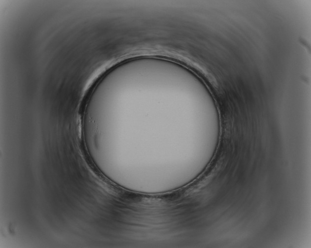 X0000093581509200710150947