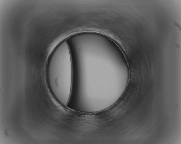 X0000093581511200710150947
