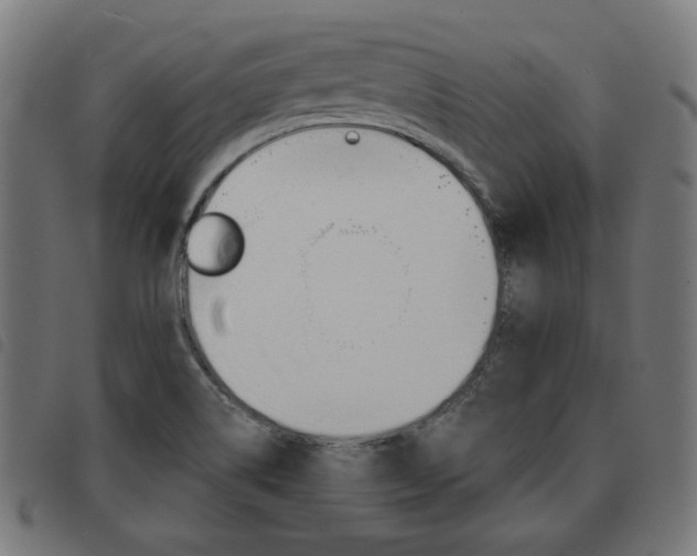 X0000093581514200710150947