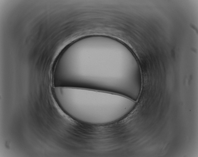 X0000093581515200710150947