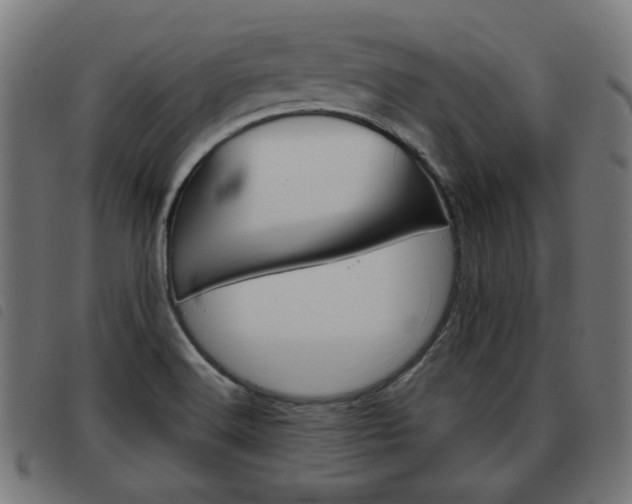X0000093581516200710150947