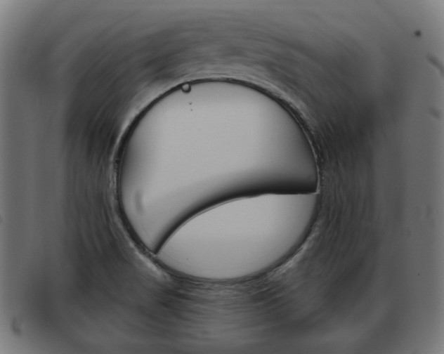 X0000093581517200710150947