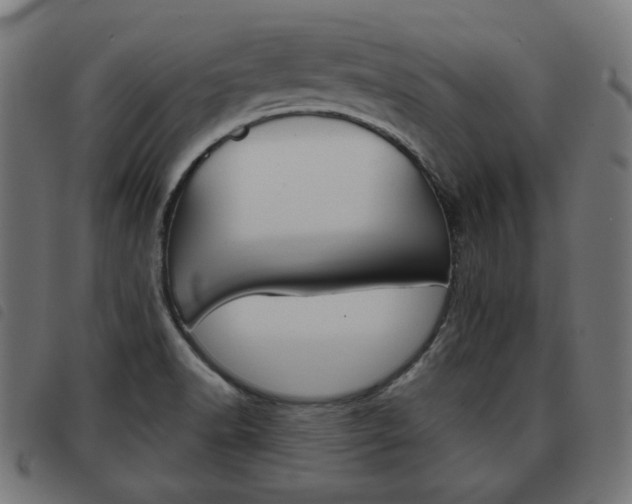 X0000093581518200710150947