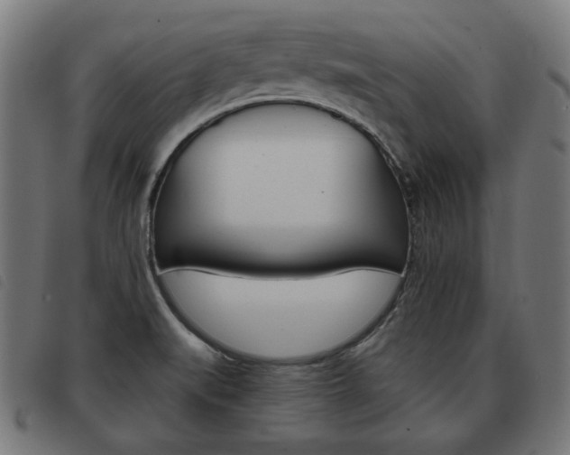 X0000093581519200710150947