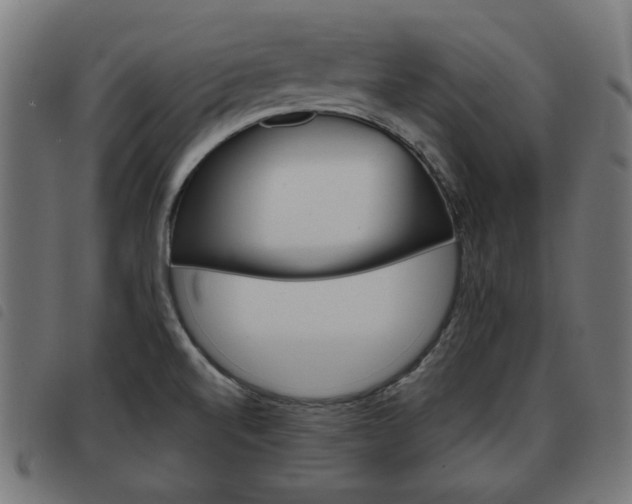 X0000093581520200710150947