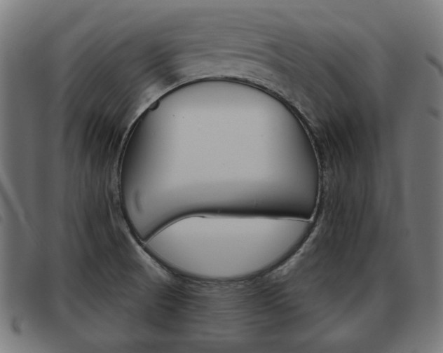 X0000093581521200710150947