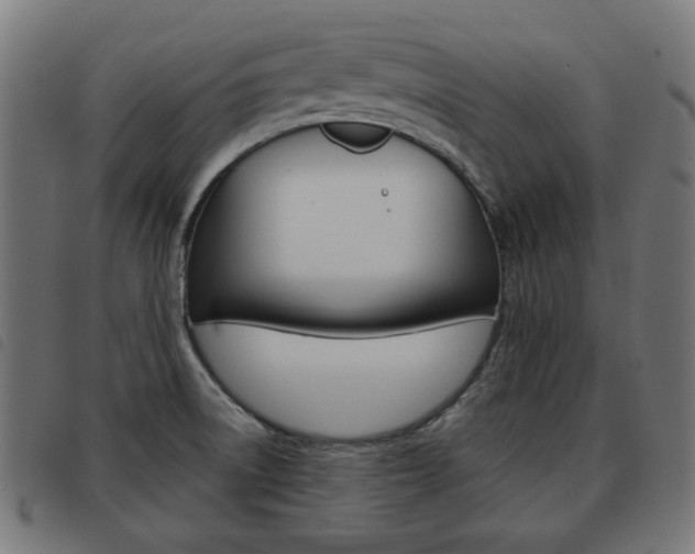 X0000093581522200710150947
