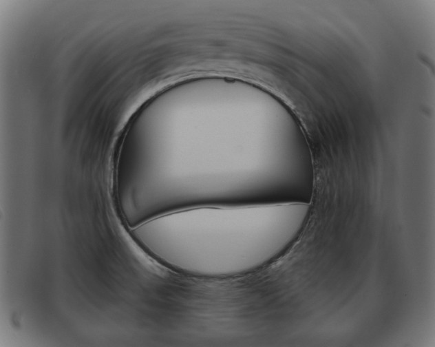 X0000093581523200710150947