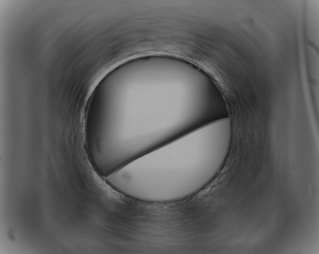 X0000093581524200710150947